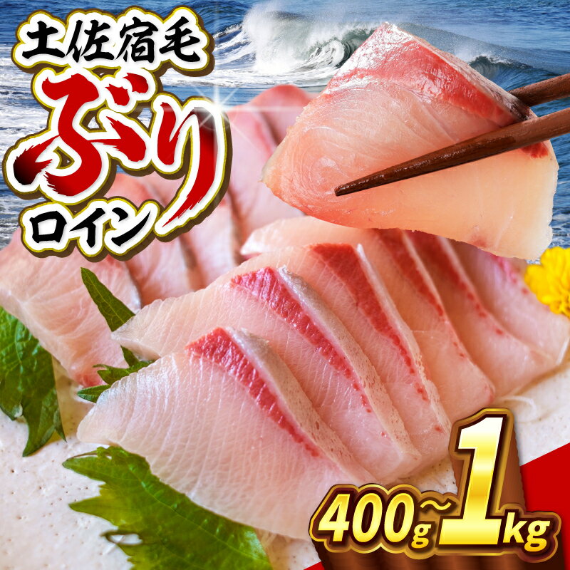 【ふるさと納税】ぶり 刺身 冷凍 400g 1000g お刺身 ロイン 切り身 ブロック ぶりしゃぶ 海鮮丼 漬け丼 魚 鰤 ブリ ぶり ハマチ はまち 刺身 お刺身 海鮮丼 漬け丼 しゃぶしゃぶ 鍋 ロイン スキンレスロイン フィレ 簡単 皮なし お手軽 切身 10000円 高知県 宿毛市