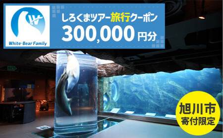 【旭川市】しろくまツアーで利用可能なWEB旅行クーポン (300,000円分) ※メール発行 | 旅行クーポン_05437