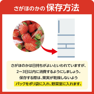 ★予約受付★平川いちご農園 佐賀県玄海町産いちご「さがほのかDX」2025年1月～4月順次配送【D023】