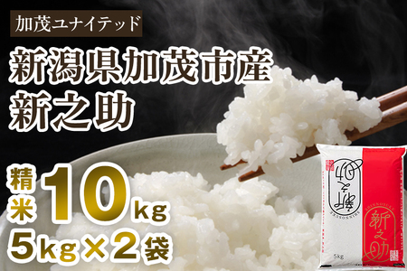 【令和7年産新米先行予約】新潟県産 新之助 精米 10kg （5kg×2袋）《10月上旬から順次発送》 東京・南青山の料亭で使用される極上米 米 白米 しんのすけ 加茂 新之助 精米 10kg 加茂の新之助 おいしい新之助 加茂市 加茂ユナイテッド 新之助 新之助 新之助 新之助 新之助