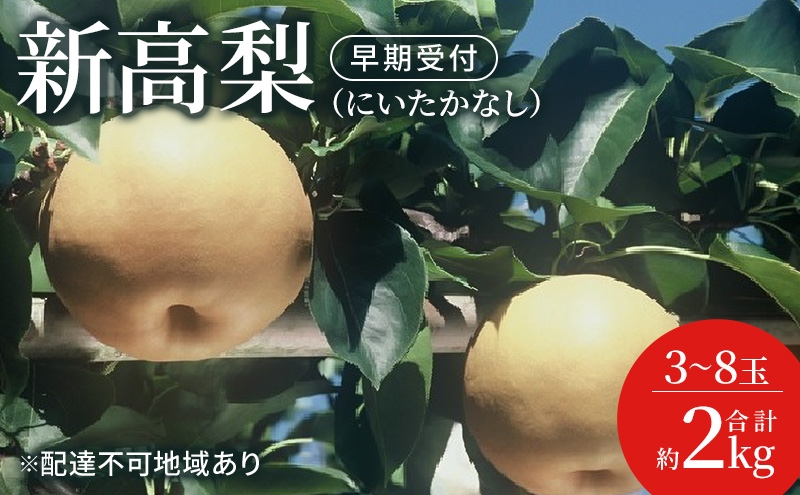 
                  梨 早期受付 新高 梨 （にいたかなし）3～8玉 合計約2kgなし ナシ 岡山県産 国産 フルーツ 果物 ギフト桃茂実苑 果物類 先行予約 [№5735-3441]
                