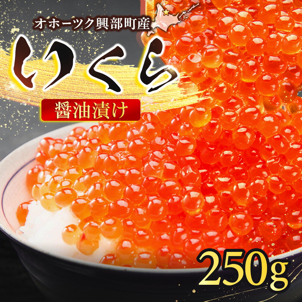 【ふるさと納税】おこっぺのいくら醤油250g【21004】