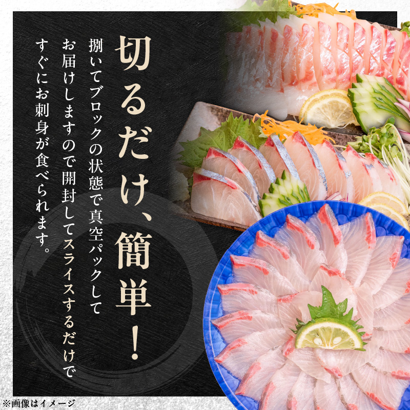 【6ヶ月定期便】(冷蔵)結城水産のお魚勢ぞろい！お刺身用ブロック N015-YF092