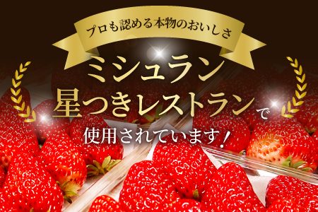 A-696 【初物！農家直送】美都いちご（350g×2パック）