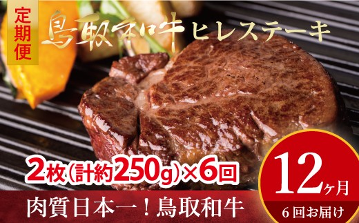 
                  鳥取和牛 ヒレステーキ 6回定期便 （約250g×6） 牛肉 ヒレ 冷凍 和牛 ステーキ 国産 ブランド牛 黒毛和牛 肉 ヒレステーキ 定期便 最高級部位 希少部位 真空 鳥取県 倉吉市
                