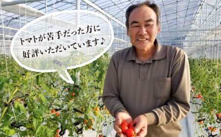 【先行予約】糸島二丈岳 【ふもとのトマト】 サイズおまかせ 約2kg （専用箱入り）【2024年4月以降順次発送】 《糸島》【株式会社 さいかい】[AFL002] トマト とまと 野菜 やさい yas