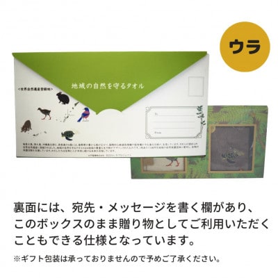 世界自然遺産 記念BOX 地域の自然を守るタオル 2枚セット【1606940】