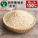 【ふるさと納税】【定期便】【1ヶ月毎5回】自然栽培米（玄米） 30kg×1袋 計150kg（30kg×5回） ミルキークイーン お米 米 玄米 単一原料米 無農薬 化学肥料不使用 有機肥料不使用 大分県産 国産 大分県 九重町 送料無料