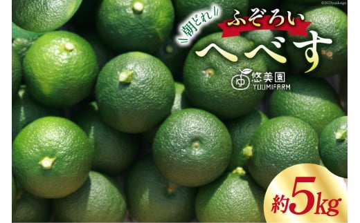 へべす 柑橘 【2024年8月～10月発送予定】ふぞろいへべす ひなたGAP認定 5kg [へべすの悠美園 宮崎県 日向市 452060724] 先行予約 期間限定 数量限定 果汁 香酸柑橘 調味料 平兵衛酢 ヘベス 宮崎 ビタミンC アミノ酸 国産 種が少ない