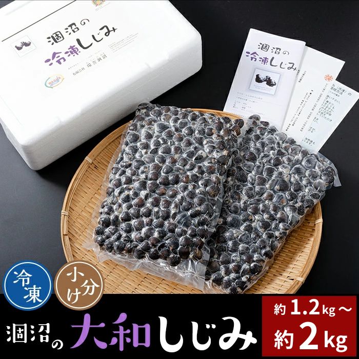 【ふるさと納税】涸沼の大和しじみ 約1.2kg～約4kg オルニチン 琥珀酸 健康 応援 しじみ汁 クール 冷凍 個包装 使いやすい 冷凍 小分け
