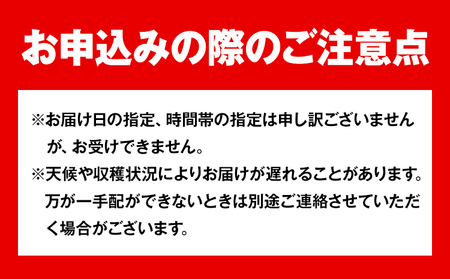 【先行予約】岡山県産 白桃 晩生種 約1.3 kg 5～6玉 晴れの国 おかやま館 漂流岡山《2024年7月下旬-9月下旬頃出荷》岡山県 浅口市 フルーツ モモ 果物 青果 旬【配送不可地域あり】