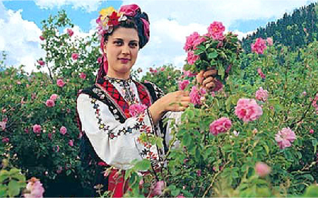 ＜新感覚！バラの香りにつつまれる炭酸飲料＞セイントローズ 500ml×12本入 佐賀県/株式会社Rose [41AAAS014]