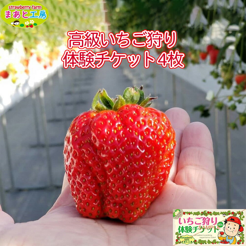 【ふるさと納税】いちご狩り体験ファミリーチケット | いちご いちご狩り 体験チケット 和歌山