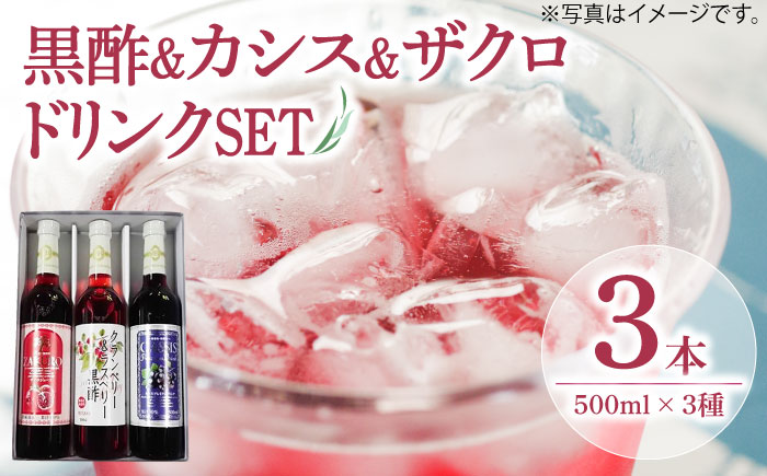 ヘルシードリンクセット500ml × 3種（ザクロ/ベリー/カシス）《豊前市》【ハウスボトラーズ】果汁 ジュース 飲料 健康 [VAX063]