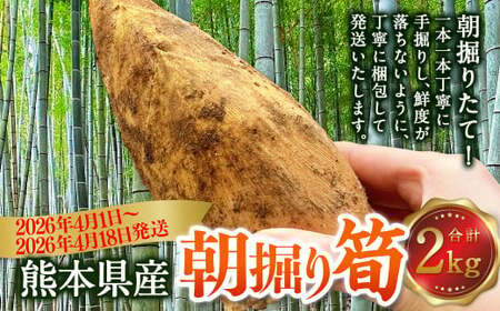 熊本県産 朝掘り 筍 約2kg 【2026年4月上旬発送開始】  たけのこ タケノコ 野菜