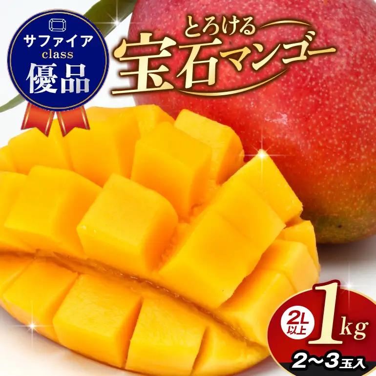 ぼうけんの国 宝石マンゴー 【優品】アーウィンマンゴー サファイアclass 約1kg ku01-005
