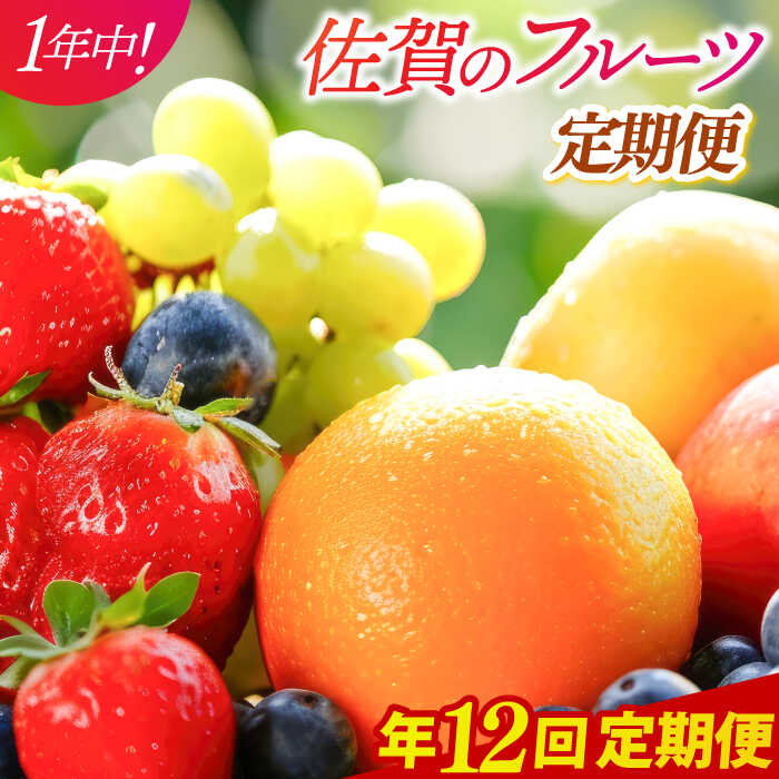 【ふるさと納税】【家計お助け返礼品】【全12回定期便】佐賀のフルーツ定期便 / 定期便 フルーツ 果物 / 佐賀県 / 佐嘉ZEYTAKUYA[41AQAA046]