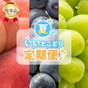 【特秀品！】夏のいいとこどり定期便♪＿M102-0035