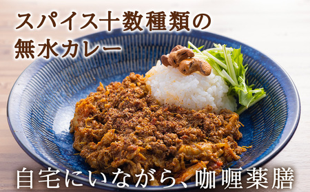 175DENOスパイスラムカレー 6袋（無水カレー180g×6）