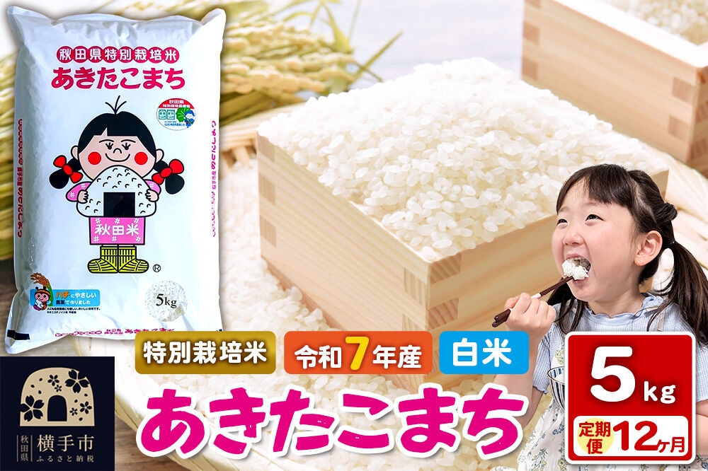 
                  令和7年産【白米】《定期便12ヶ月》特別栽培米 あきたこまち 5kg 秋田県 横手市 [秋田県産 あきたこまち 秋田こまち]
                