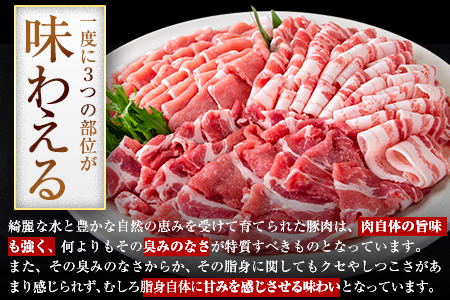 【トレー包装】豚 肉 小分け しゃぶ しゃぶ 3種 熊本 うまか ポーク スライス 1.5kg 熊本県産 冷凍 豚 豚肉 個別 個別包装 取分け 豚しゃぶ ぶたしゃぶ ロース バラ 肩ロース 鍋 フィ