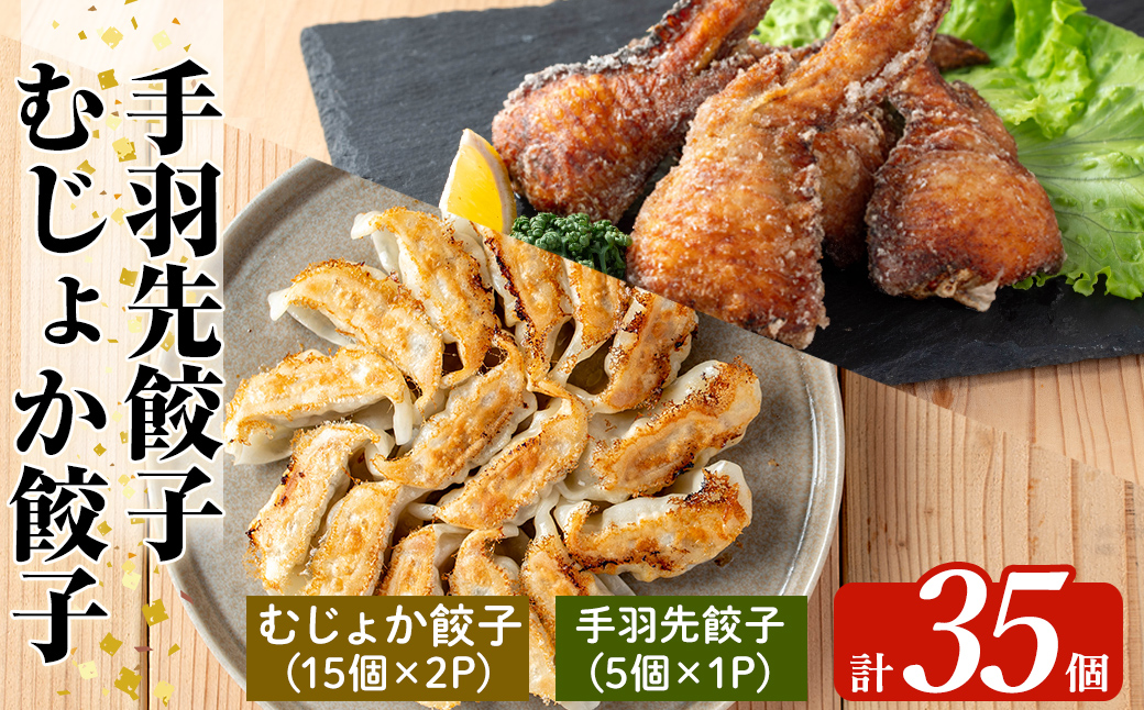 K-285-C 霧島黒豚使用！餃子2種セット(手羽先餃子5個×1P・むじょか餃子15個×2P 計35個)【MAGONIMO餃子】