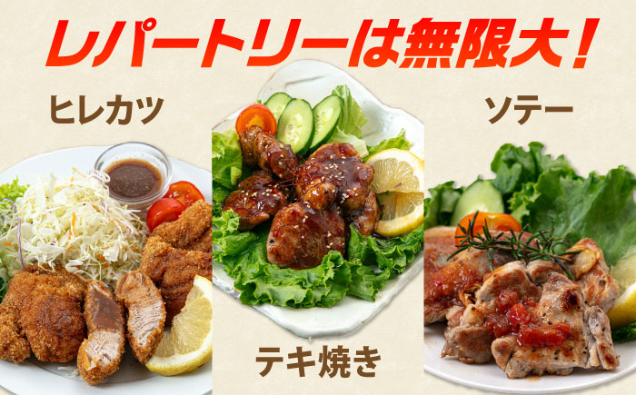 真空冷蔵 豚肉ヒレブロック 2本【日本フードパッカー株式会社】 [OCJ002]