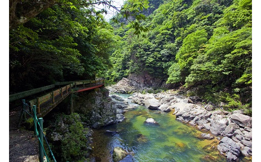山口県を代表する渓谷「長門峡」