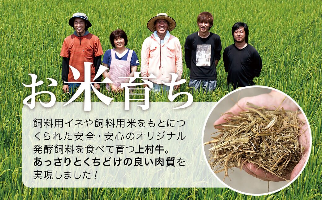 【カミチク】宮崎県産上村牛 赤身焼肉800ｇ（200ｇ×4パック）<1.4-4>牛肉 焼肉 ビーフ 宮崎県西都市 数量限定