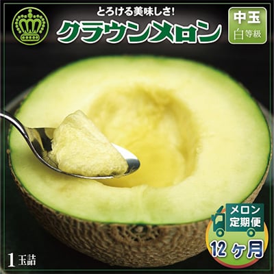 
            ＜毎月定期便＞クラウンメロン(白等級) 中玉1玉 全12回【4012656】
          