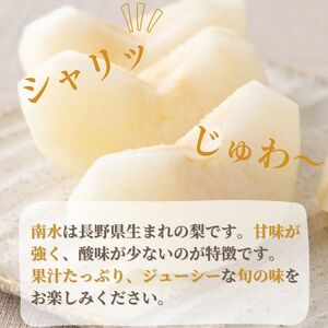 【数量限定】梨(南水)5kg＜9月下旬より順次発送＞