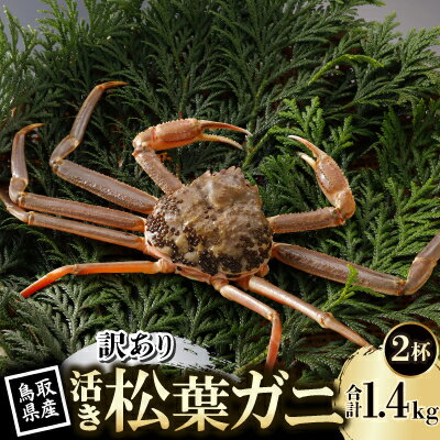 【ふるさと納税】【先行予約】鳥取県産 訳あり 活 松葉がに 700g×2杯(中村商店)2026年11月発送【配送不可地域：離島・北海道・沖縄県・東北・信越、北陸】【1653964】