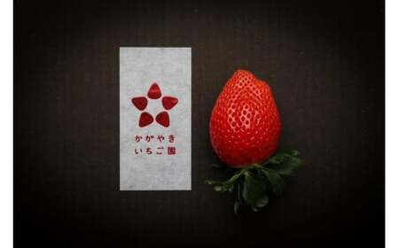 【いちご博総合大賞】やよいひめ 約800g※2026年1月上旬～4月下旬頃に順次発送予定