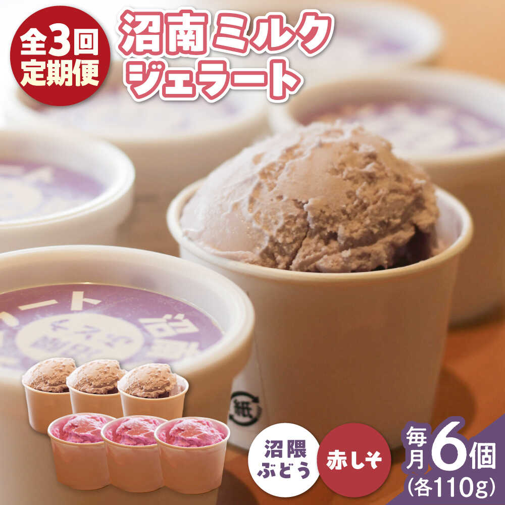 【ふるさと納税】【全3回定期便】沼南ミルクジェラート 沼隈ぶどう＆赤しそ 各3個 食べ比べセット アイス ぶどう 赤しそ アイスクリーム デザート スイーツ ご当地 おすすめ 人気 ひんやり お取り寄せ 詰め合わせ ギフト 贈り物 定期便 広島県福山市/甚ごろう[BAEC046]