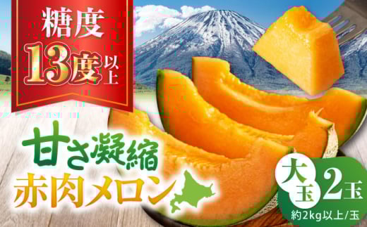 【2026年7月下旬以降順次発送】赤肉メロン 大玉2玉 《喜茂別町》【ニセコビュープラザ直売会協同組合】 メロン めろん 赤肉 赤肉メロン 糖度13度以上 化粧箱入り 贈答 贈答用 贈答品 贈り物 先行予約 [AJAH020]  19000 19000円