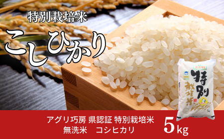 新潟県認証 特別栽培米 コシヒカリ5kg 無洗米 令和7年産 新潟県三条市産 こしひかり 【011S193】