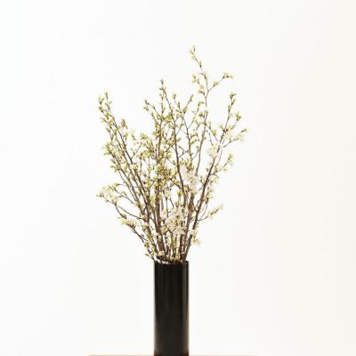 ふるさと納税 米沢市 【先行受付】 啓翁桜 ( けいおうざくら ) 80cm×8本 切り花 |  | 01