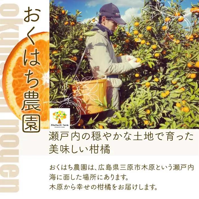 【おくはち農園】不知火（しらぬい） 4.5kg 《2027年3～4月発送予定》栽培期間中 防腐剤 ワックス 不使用 旬 柑橘 かんきつ フルーツ 果物 瀬戸内 166028