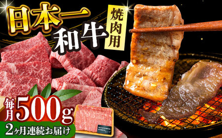 【全2回定期便】【A4～A5】長崎和牛焼肉用　500g【株式会社 MEAT PLUS】[DBS033]