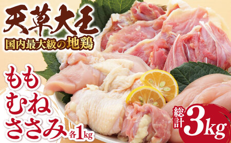 【数量限定】熊本県産 天草大王 地鶏 計3kg ( もも ・ むね ・ ささみ ) 各1kg 鶏肉 小分け 国産【あそ大王ファーム株式会社】[YCF003]