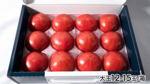 てるて姫 中箱 約1.2kg × 2箱 【12～15玉/1箱】 てるてひめ 糖度9度 以上 野菜 フルーツトマト フルーツ トマト とまと [AF038ci]