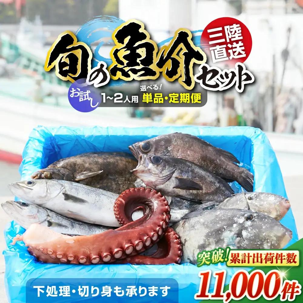 鮮魚セット(1～2人用) 下処理済み 朝獲れ直送 三陸 旬 冷蔵 刺身 海藻 貝 鮮魚 お魚
