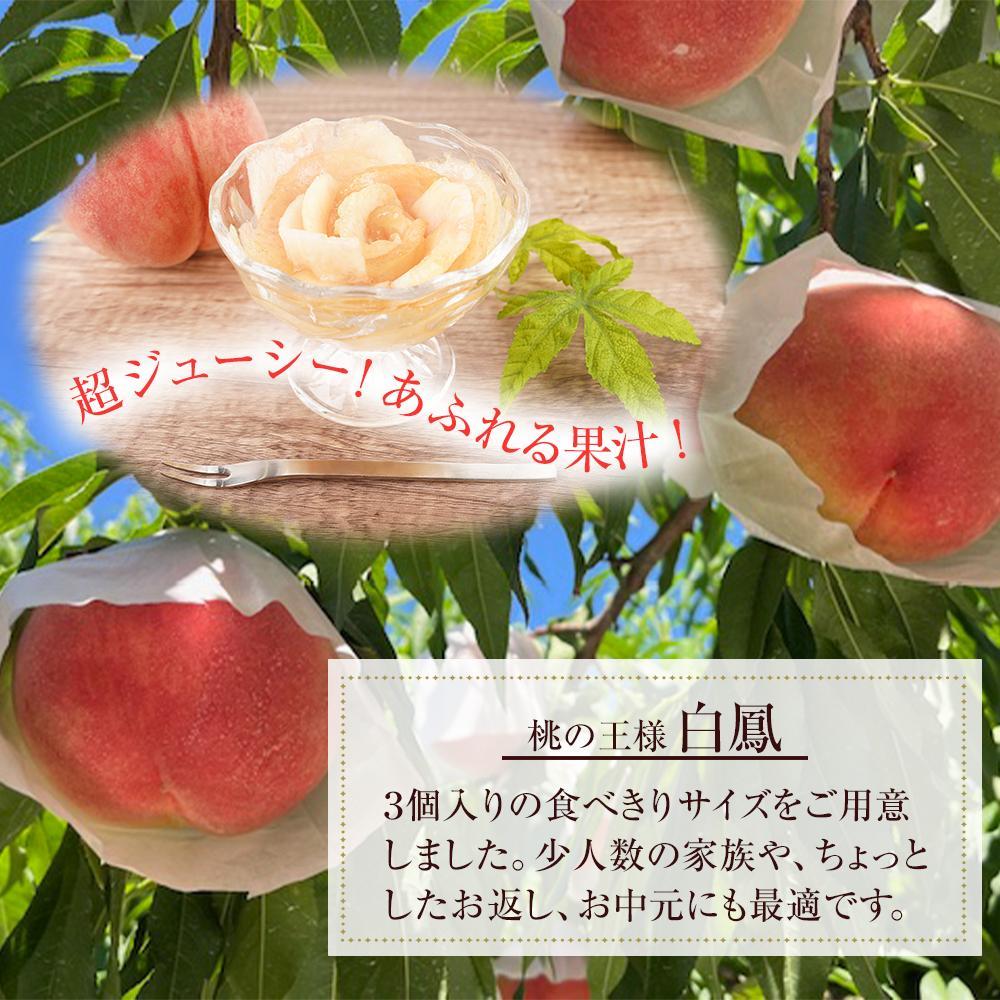 先行販売！【モモ】 白鳳　桃の王様！食べきりやすい３個入り【2025年6月下旬頃より順次発送】【秀品】こだわり農家厳選 【KG17】