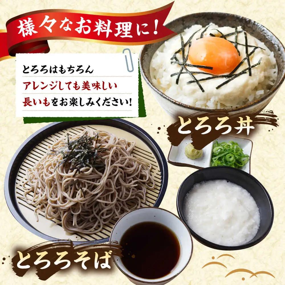 【2026年11月下旬以降順次発送】秋掘り 長いも 5kg  |  長いも 秋野菜 野菜 やさい 北海道 産地直送 |  道の駅 真狩フラワーセンター[BPAM026]