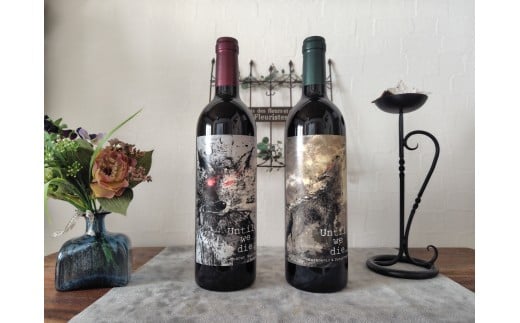 funオリジナル マスカットベリーＡ＆アルモノワール・サンジョベーゼ 2本セット | ワイン わいん 赤ワイン 白ワイン お酒 おさけ 酒 さけ 塩尻市 長野県 信州