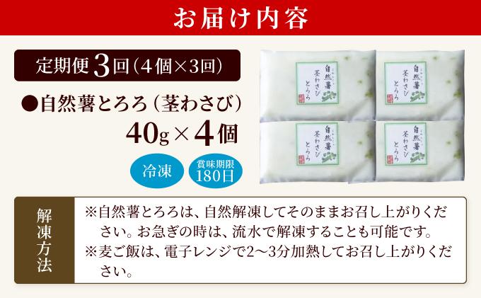 ＜定期便・全3回＞自然薯茎わさびとろろ 40g×4個|自然薯 小分け じねんじょ とろろ 山芋 やまいも 長芋 ながいも ご飯のお供 山葵 ワサビ おつまみ 酒の肴 山かけ 麦とろ そば うどん 鉄火