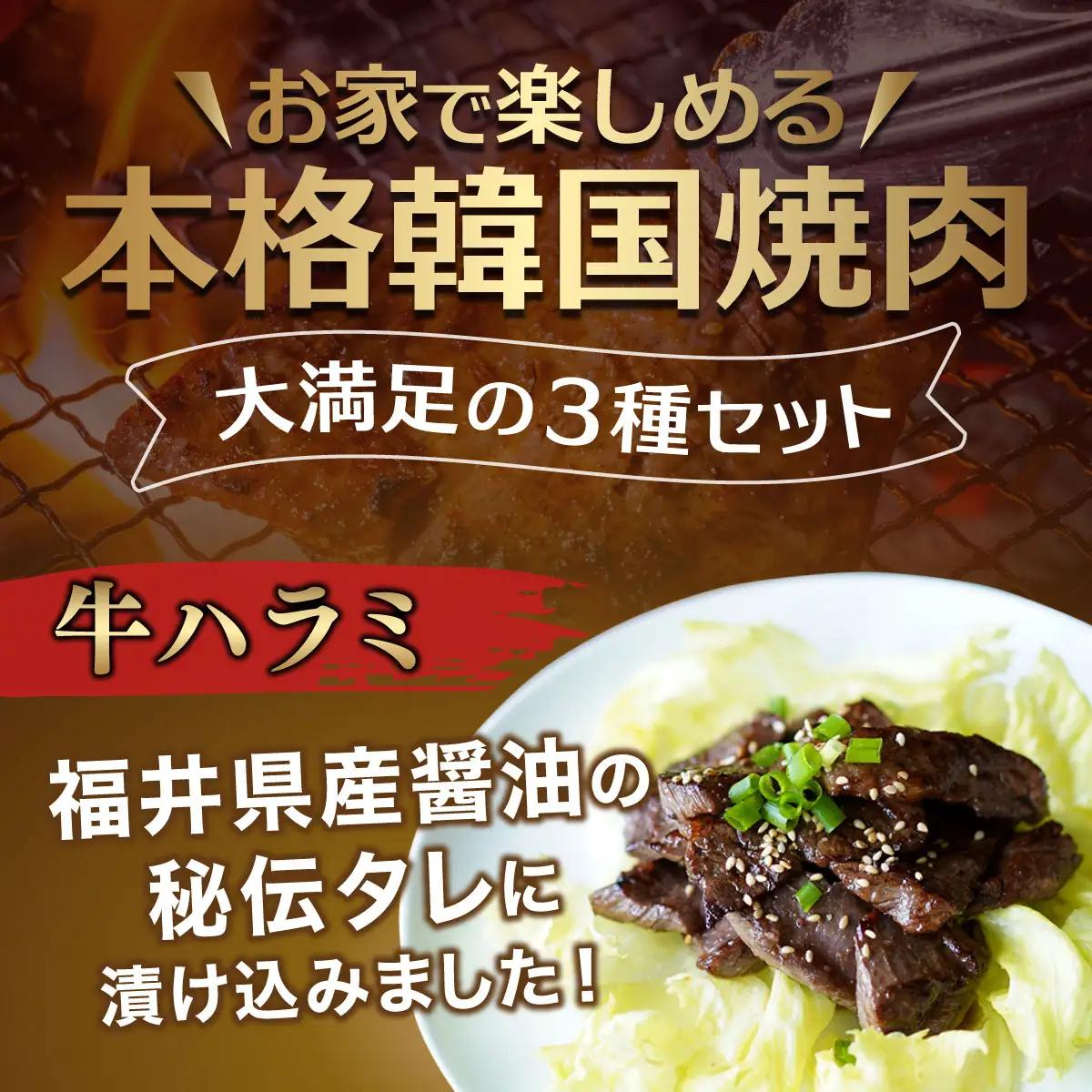 韓国焼肉 3種セット（タレ漬け ハラミ / デジカルビ / サムギョプサル）[058-b002]