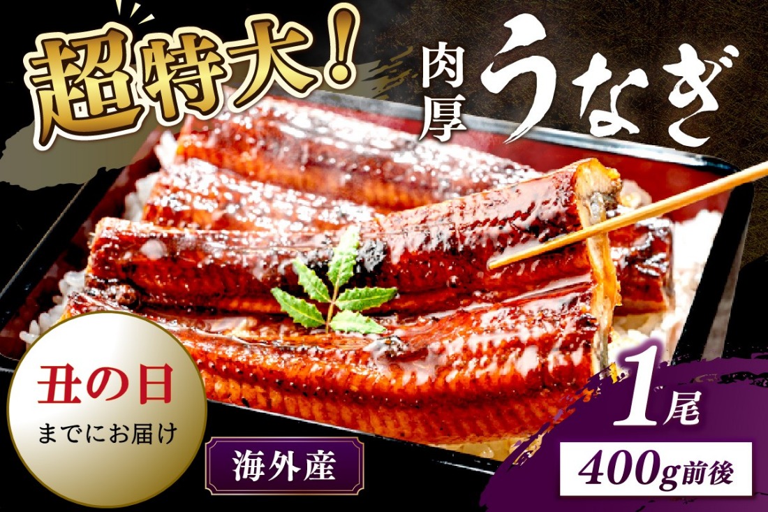 【7月30日～8月1日配送】超特大！ふっくら肉厚！うなぎ蒲焼 1尾 400g前後　YK00402_02