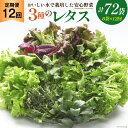 【ふるさと納税】【12回定期便】富山のおいしい水で生産した安心野菜（6袋）[北陸機材 富山県 舟橋村 57050147] 野菜 野菜セット フラワーリーフ フリルレタス マルチレタス 水耕栽培 定期便