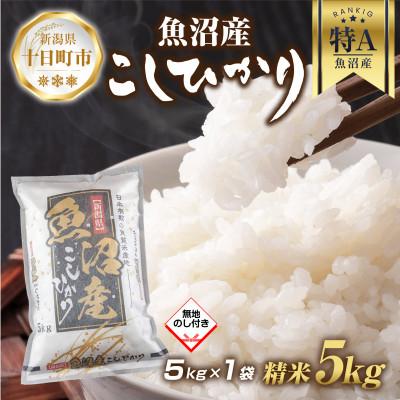 ふるさと納税 十日町市 【無地熨斗】魚沼産 コシヒカリ 5kg (お米の美味しい炊き方ガイド付き)